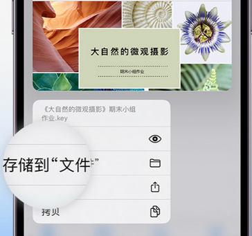 定陶apple维修中心分享iPhone文件应用中存储和找到下载文件