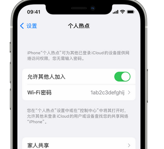 定陶apple服务站点分享iPhone上个人热点丢失了怎么办 