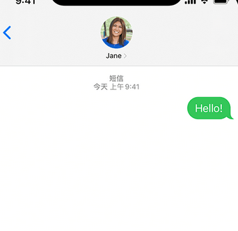 定陶apple维修iPhone上无法正常发送iMessage信息