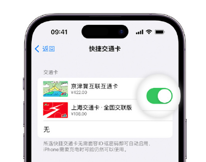 定陶apple维修点分享iPhone上更换Apple Pay快捷交通卡手绘卡面 