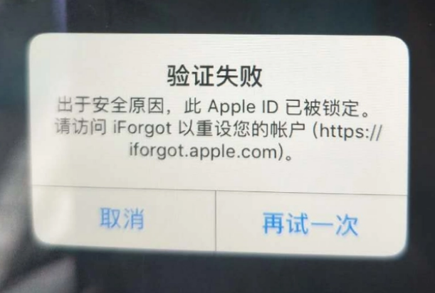 定陶iPhone维修分享iPhone上正常登录或使用AppleID怎么办 