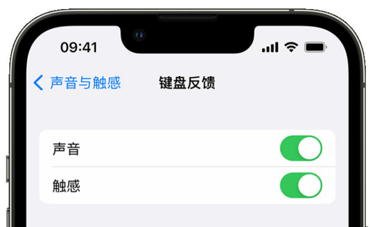 定陶苹果手机维修分享iPhone 14触感键盘使用方法 