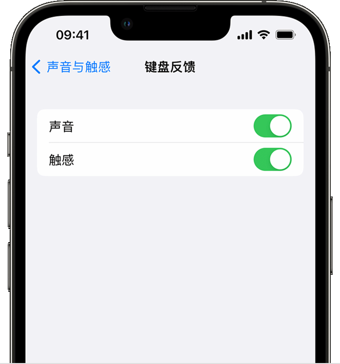 定陶苹果14维修店分享如何在 iPhone 14 机型中使用触感键盘 