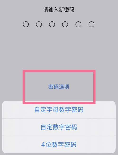 定陶苹果14维修分享iPhone 14plus设置密码的方法 