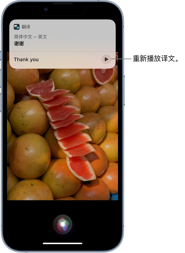 定陶苹果14维修分享 iPhone 14 机型中使用 Siri：了解 Siri 能帮你做什么 