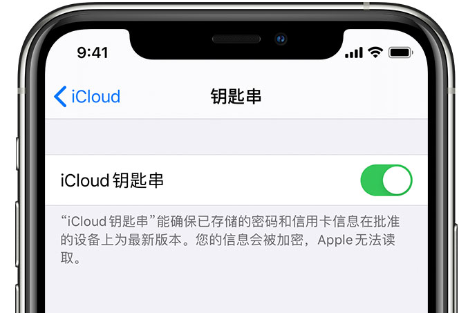 定陶苹果手机维修分享在 iPhone 上开启 iCloud 钥匙串之后会储存哪些信息 