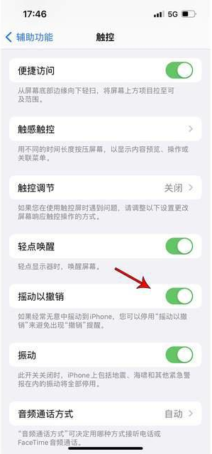 定陶苹果手机维修分享iPhone手机如何设置摇一摇删除文字 