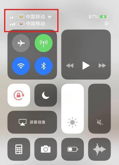 定陶苹果手机维修分享为 iPhone 12 双卡设置标签 